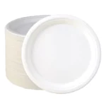 10 Best Microwave Safe Paper Plates 2024