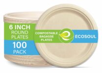 10 Best Microwave Safe Paper Plates 2024