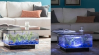 Coffee Table Aquarium: Turn Your Living Room into an Underwater Wonderland