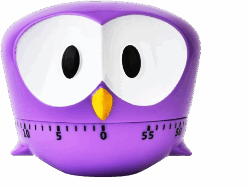 Chick Owl Kitchen Timer